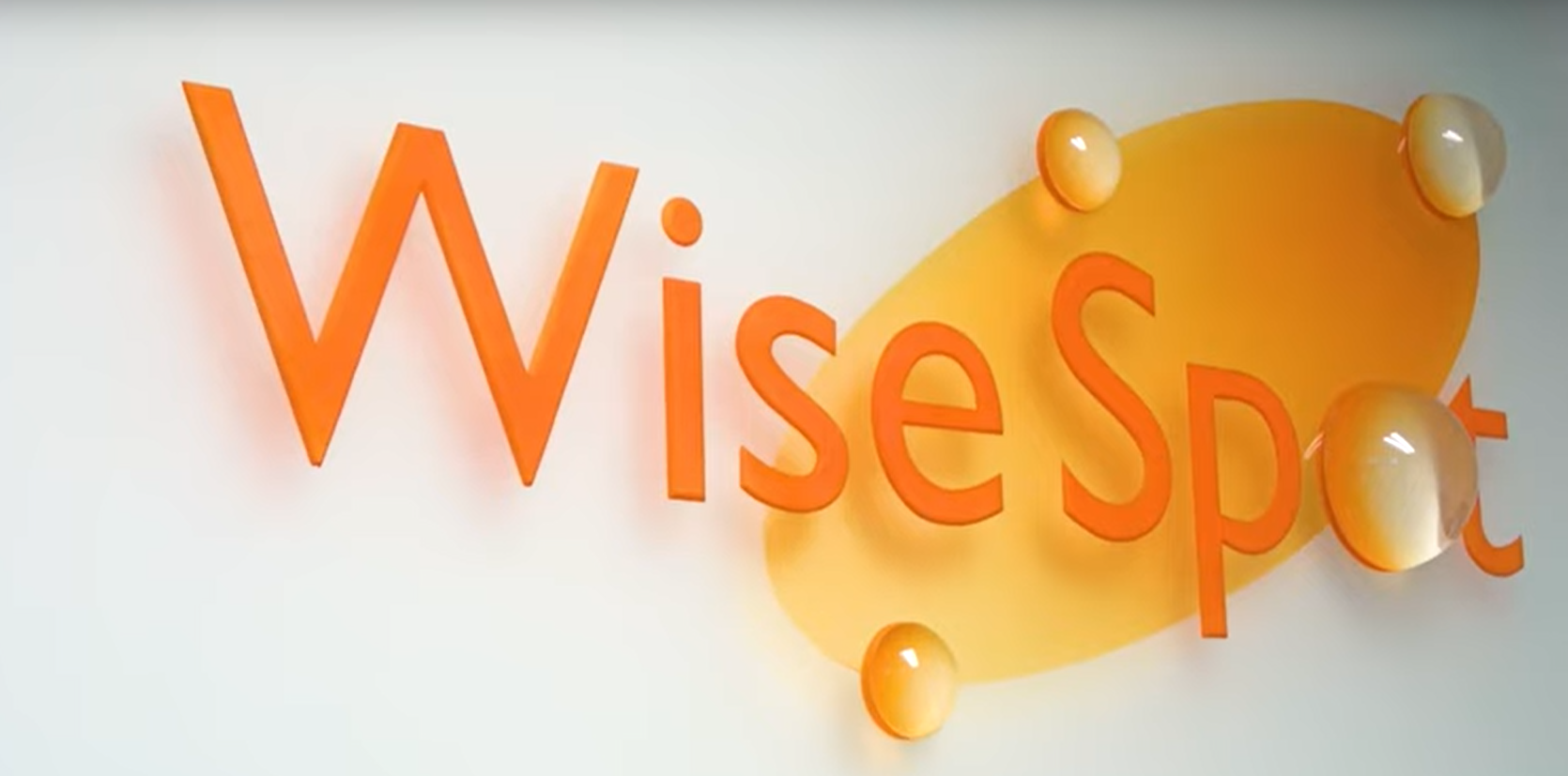 WiseSpot Company Logo