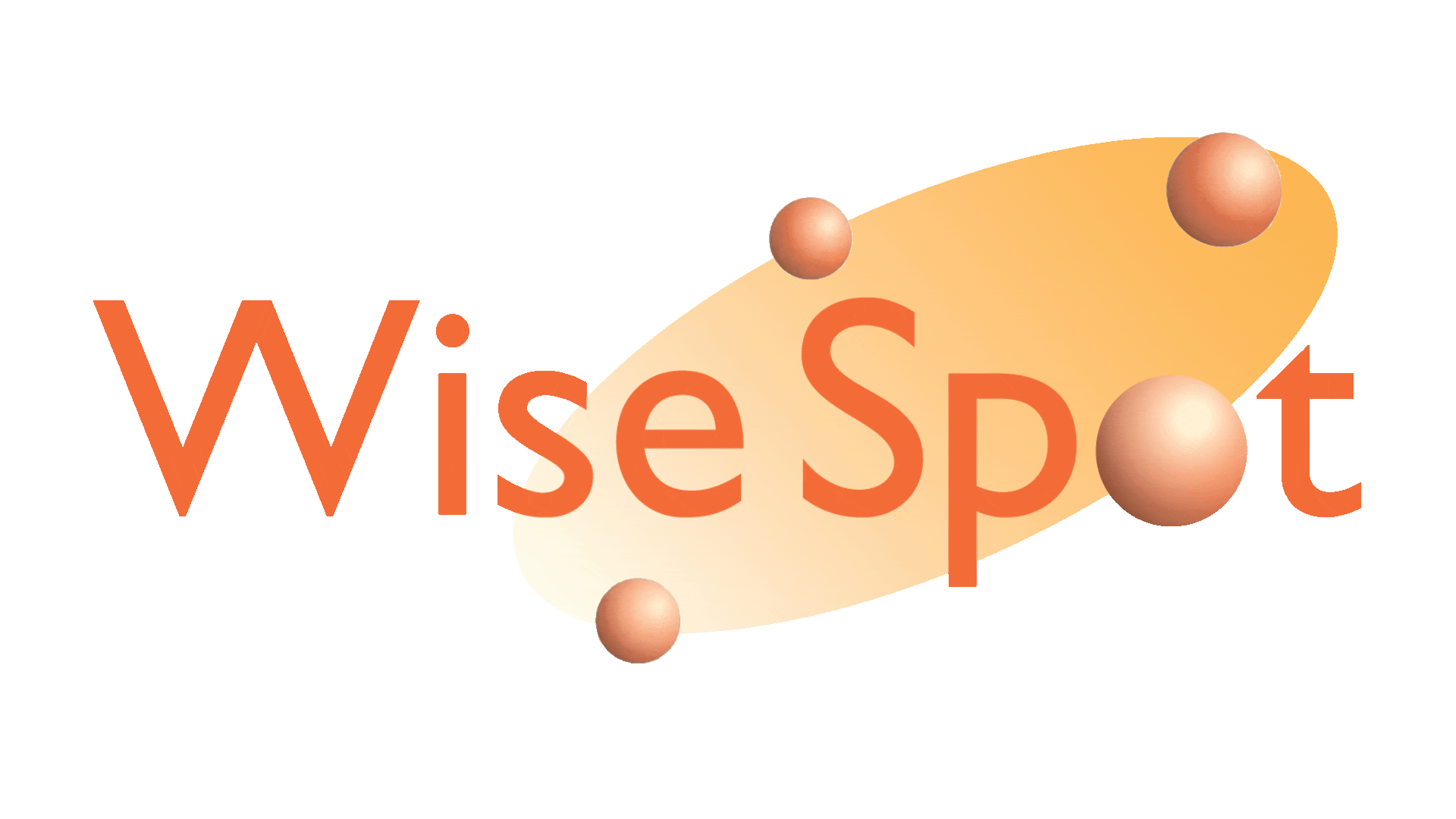 WiseSpot Company Animated Logo